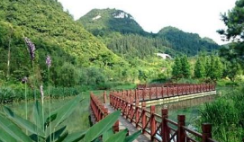 汕尾市陸河縣林中花溪農業綜合開發田園綜合體項目