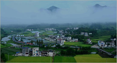 鄉村振興規劃關于農業