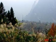 面向市場打造油桐生產(chǎn)基地——羅甸縣積極發(fā)展油桐產(chǎn)業(yè)調(diào)查