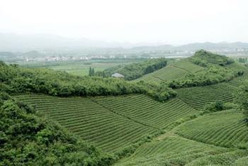 浙江杭州某生態休閑農業園
