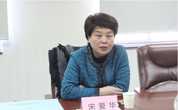 湖南省岳陽市副市長宋愛華