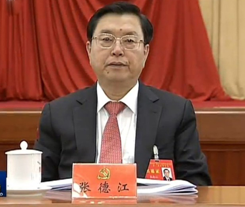 中共中央政治局委員、國務院副總理張德江