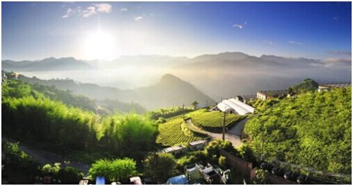 臺灣養(yǎng)老健康產(chǎn)發(fā)展規(guī)劃