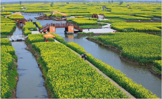 2019年農(nóng)業(yè)產(chǎn)業(yè)項(xiàng)目,2019年農(nóng)業(yè)項(xiàng)目編制,2019年農(nóng)業(yè)項(xiàng)目補(bǔ)貼