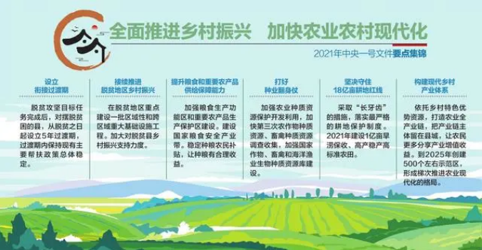 如何加快農業農村現代化