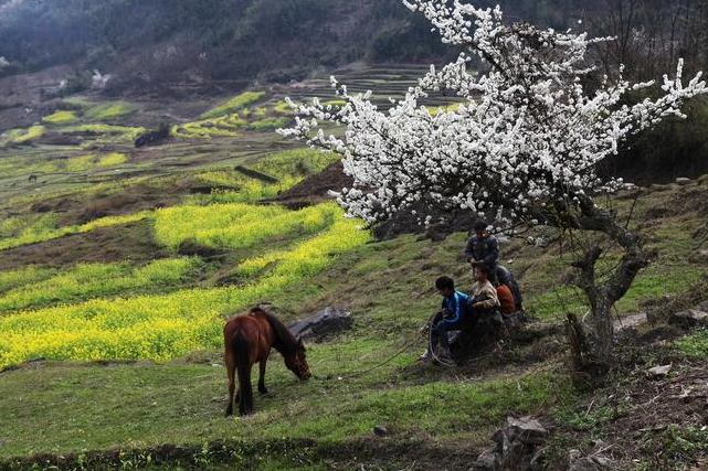 廣西石漠化地區(qū)旅游發(fā)展規(guī)劃,廣西石漠化地區(qū)旅游發(fā)展建議