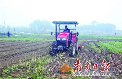 目前清遠(yuǎn)第一產(chǎn)業(yè)比重偏重，且內(nèi)部結(jié)構(gòu)不合理，農(nóng)業(yè)“市場(chǎng)化、設(shè)施化、規(guī)模化、產(chǎn)業(yè)化”的水平有待進(jìn)一步提高。