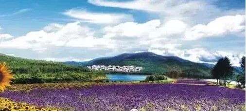休閑農業做內質,忌王婆賣瓜