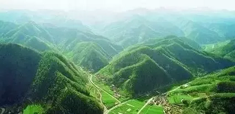 休閑農業做產業,忌表面功夫
