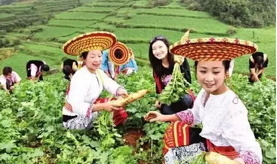 休閑農業做市場,忌盲從領導