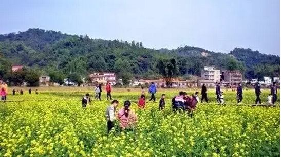 休閑農業做模式,忌東施效顰