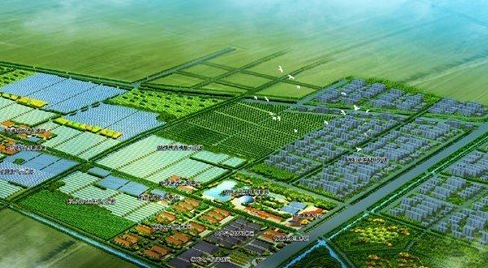 京津冀三地現代農業應在六個方面強化協同