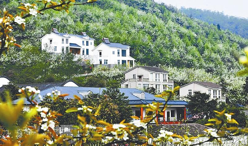 德陽市品牌創建 促進鄉村旅游轉型升級