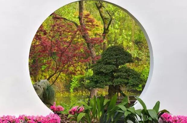 園林景觀中的重頭戲——植物景觀設計 