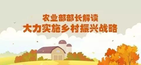 解讀十九大重大的戰(zhàn)略決策：鄉(xiāng)村振興戰(zhàn)略