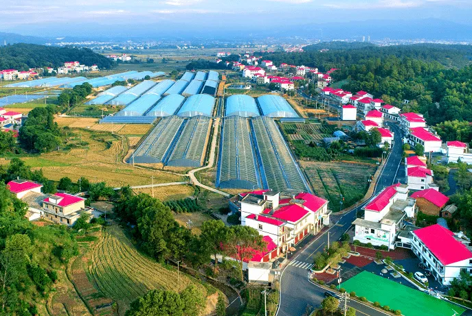 溪村村土地綜合整治困難,土地綜合整治建議 溪村村土地綜合整治困難,土地綜合整治建議