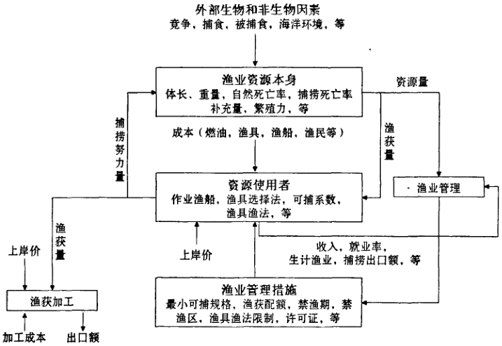 圖1 漁業資源生物經濟模型建立的示意圖
