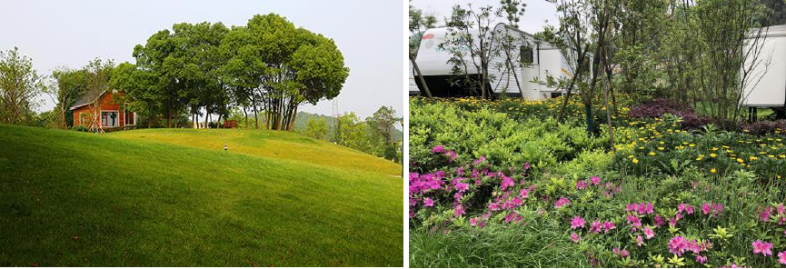 蕪湖龍山房車營地實景圖 蕪湖龍山房車營地實景圖