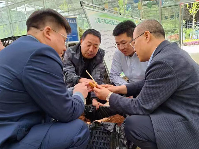 中機院一行到漢中市略陽縣考察中藥產業 中機院一行到漢中市略陽縣考察中藥產業