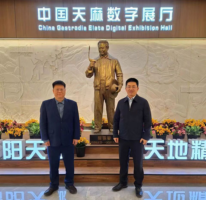 中機院一行到漢中市略陽縣考察中藥產業 中機院一行到漢中市略陽縣考察中藥產業