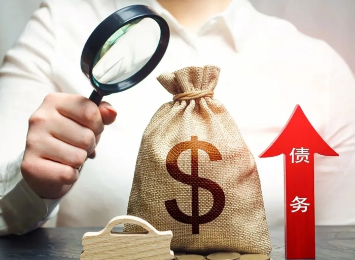 近十年(2015—2024年)專項(xiàng)債申報(bào)成功率分析及提高通過(guò)率的策略建議 近十年(2015—2024年)專項(xiàng)債申報(bào)成功率分析及提高通過(guò)率的策略建議
