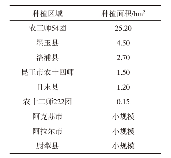 2023 年新疆油莎豆種植情況