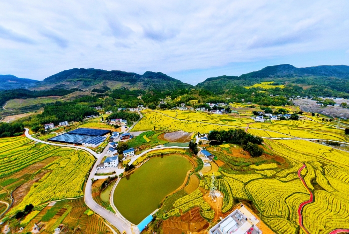 我國農村土地綜合整治存在的問題及原因分析