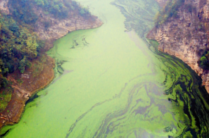 天水市農業面源污染防治現狀及問題